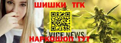 дживик Камышлов