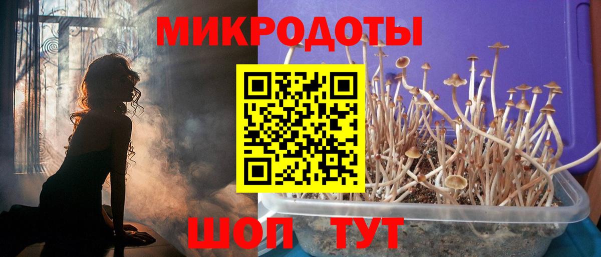 наркота  Вход с VPN  Елец  Псилоцибиновые грибы Psilocybine cubensis 